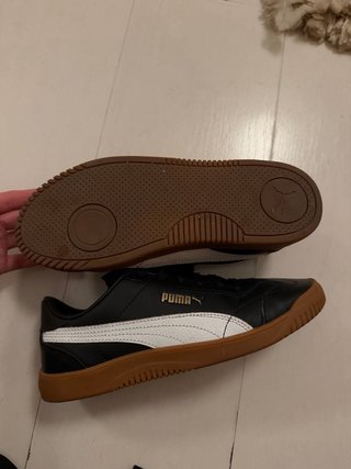 Puma
