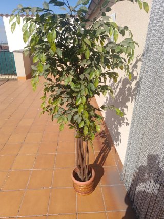 Planta artificial decorativa