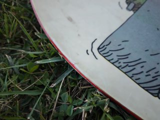 Tabla de Snowboard + Fijaciones + funda Burton