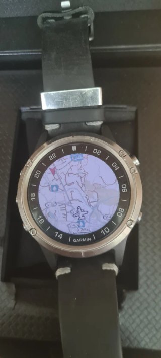 Garmin D2 Delta Zafiro Titanio