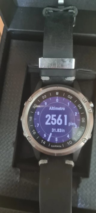 Garmin D2 Delta Zafiro Titanio