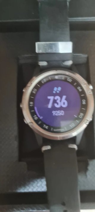 Garmin D2 Delta Zafiro Titanio