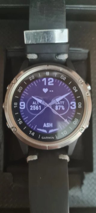 Garmin D2 Delta Zafiro Titanio