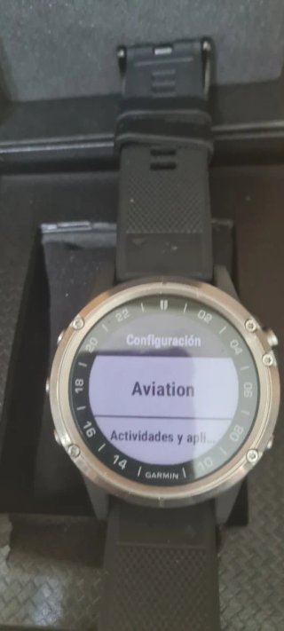 Garmin D2 Delta Zafiro Titanio