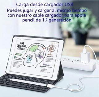 Cable carga Apple Pencil 1 ligthninig