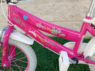 Bicicleta infantil 14 Disney Princesas