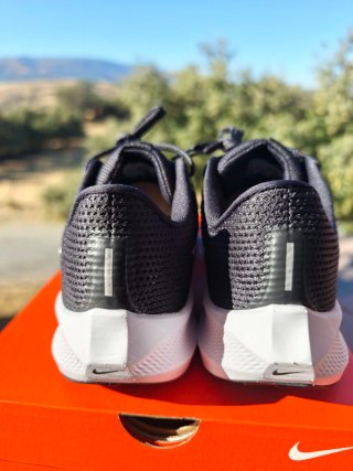 Nike Air Zoom Pegasus 40 Negro/Blanco talla 42,5