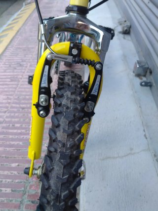 BICI DE NIÑOS 20 PULGADAS MONTAÑA DOBLE SUSPENSIÓN
