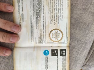 Pokémon Heart Gold DS Español