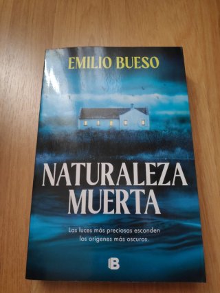 Naturaleza Muerta / Still Life