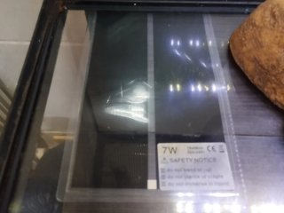 Terrario con cueva, manta térmica más plafón LED