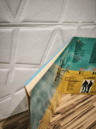 Vinilo Un Amigo de Verdad Viceversa