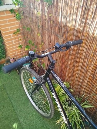 Bicicleta Riverside adulto