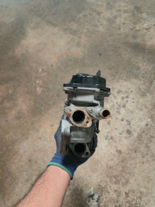 Refrigerador EGR Seat Exeo
