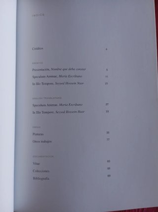Catalogo exposición "Speculum Animae" Vicente Pasc