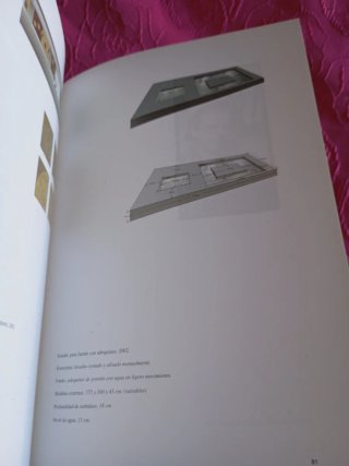 Catalogo exposición "Speculum Animae" Vicente Pasc