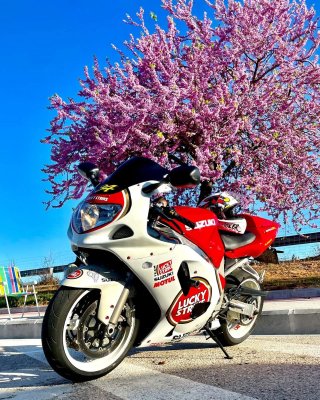 Suzuki GSX-R 600 K3 Roja y Blanca