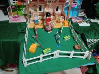Club Pony Barriguitas