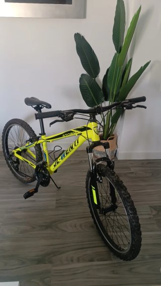 Bicicleta Junior 24 Verde fluor
