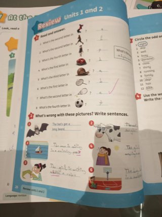 Kids Box libros de inglés 4 primaria.
