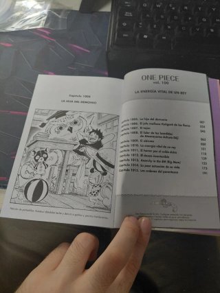 One piece tomo número 100
