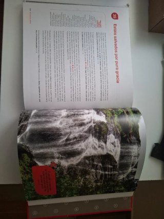 TESTIGOS DEL SEÑOR. ALUMNO