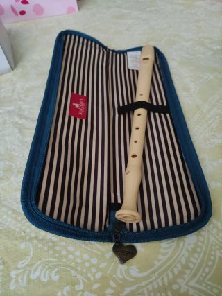 Funda Santoro para flauta escolar