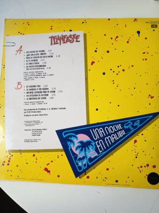 Vinilo Tennessee - Una Noche en Malibú