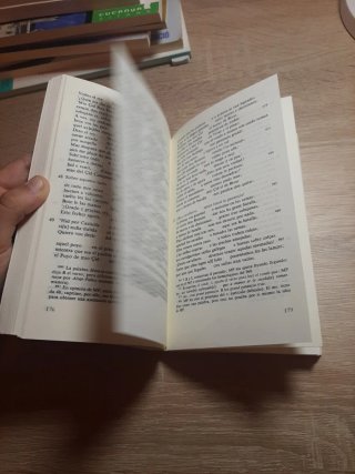 POEMA DE MIO CID