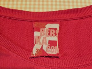 Camiseta Bershka