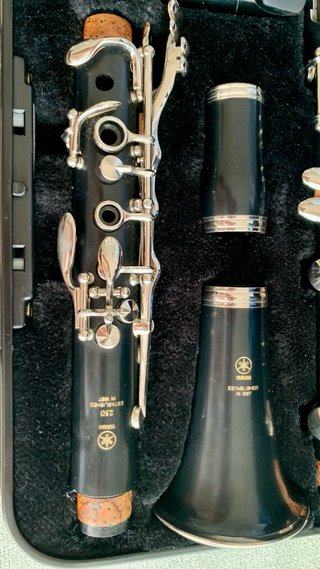 Clarinete Yamaha YCL 250