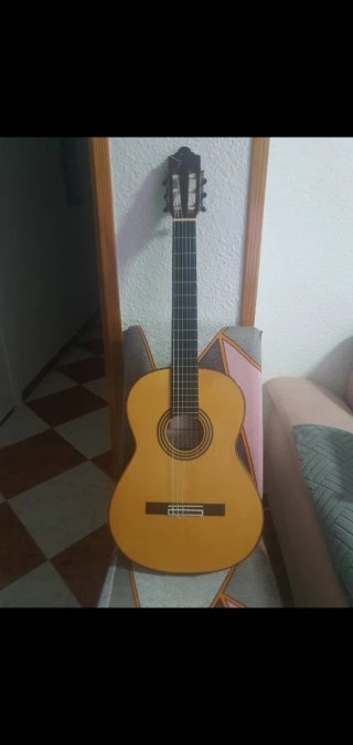 Guitarra Flamenca Campos Año 2014