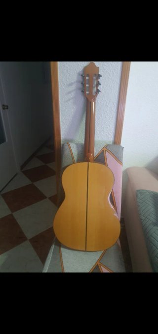 Guitarra Flamenca Campos Año 2014
