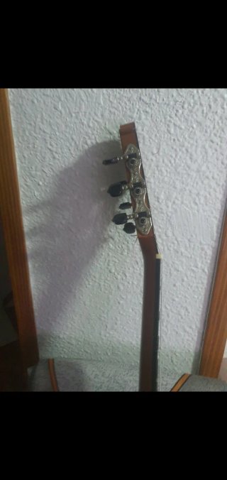 Guitarra Flamenca Campos Año 2014