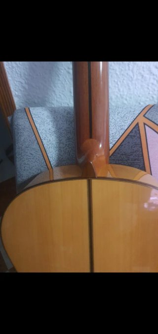 Guitarra Flamenca Campos Año 2014
