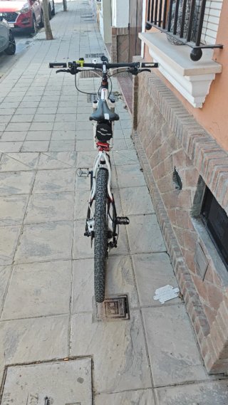 Bicicleta WRC Aniversario 29