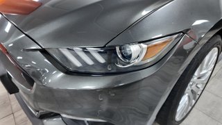 Ford 2.3 EcoBoost 231kW Mustang Fastback