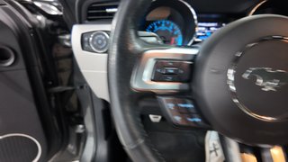 Ford 2.3 EcoBoost 231kW Mustang Fastback