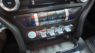 Ford 2.3 EcoBoost 231kW Mustang Fastback