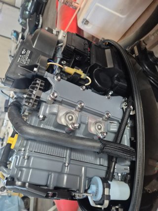 Fueraborda Suzuki 50cv + remolque y neumática