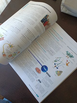 BIOLOXIA XEOLOXIA E CIENCIAS 1 BACH (CER)