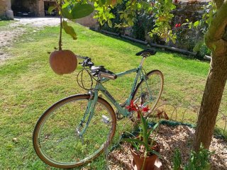 Bicicleta Bianchi Mint