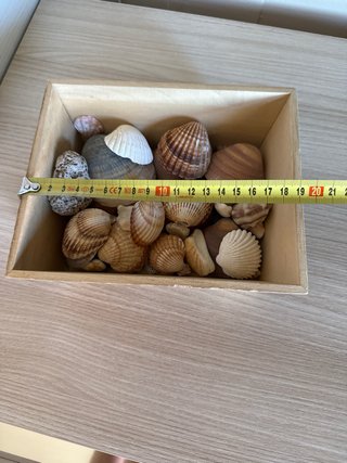 Caja decorativa Home llena de conchas