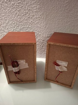 Altavoces Sony Marrones y Negros