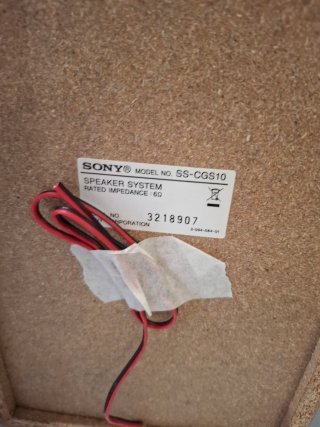 Altavoces Sony Marrones y Negros