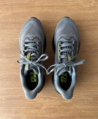 Zapatillas Nike Pegasus Premium