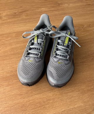 Zapatillas Nike Pegasus Premium