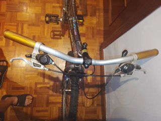Bicicleta Longway
