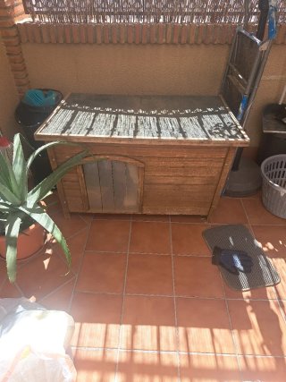 Caseta Perro Madera Aislada