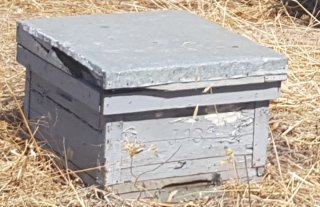 100 colmenas con alzas Langstroth y cuadros.